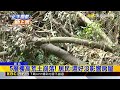 社區旁土石崩落！ 憂颱風將來襲 市府急會勘@newsebc