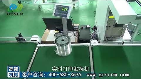 weighing checking real-time printing and labeling machine ,print applicator--GOSUNM