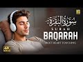 Surah Al Baqarah Full (4K) سورة البقره | HEART TOUCHING RECITATION | Zikrullah TV