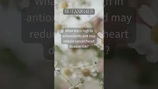 Embrace the Serene Sip: Green Tea, the Botanical Elixir for Inner Harmony | #shorts #greentea #chill