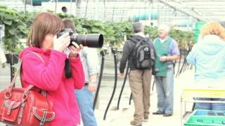 Wexford Strawberries Photowalk screenshot 2