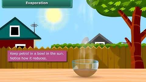 Evaporation | Class 6 | Science