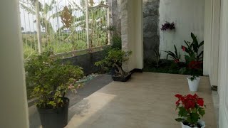 HOME TOUR Rumah Sehat(10x24m) Konsep Modern Tropis  di Kampung