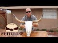 HOW TO CLEAN A COW SKULL "GRAPHIC"