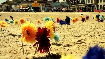 Flower Workflow Demo