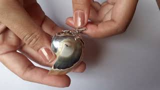 Sterling Silver, Brown Nautilus, Shell Pendant Shp 216