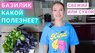 Базилик: почему полезен для здоровья? Свежий или сухой базилик лучше? Рецепты с базиликом.