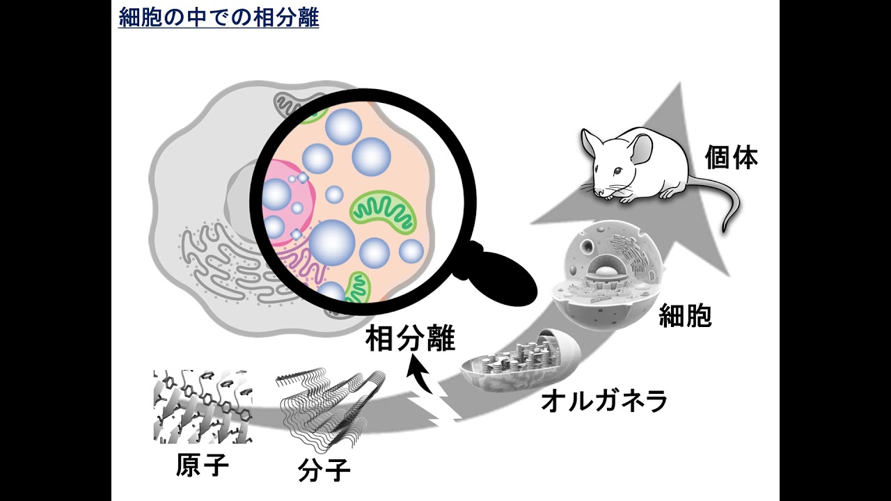 けいはんなSciencepedia