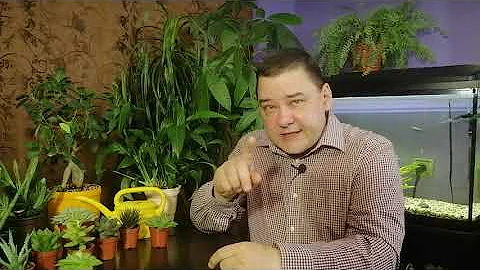 Вот как надо поливать цветы. [ЧТО, РАЗВЕ НЕ ЗНАЛИ?!]