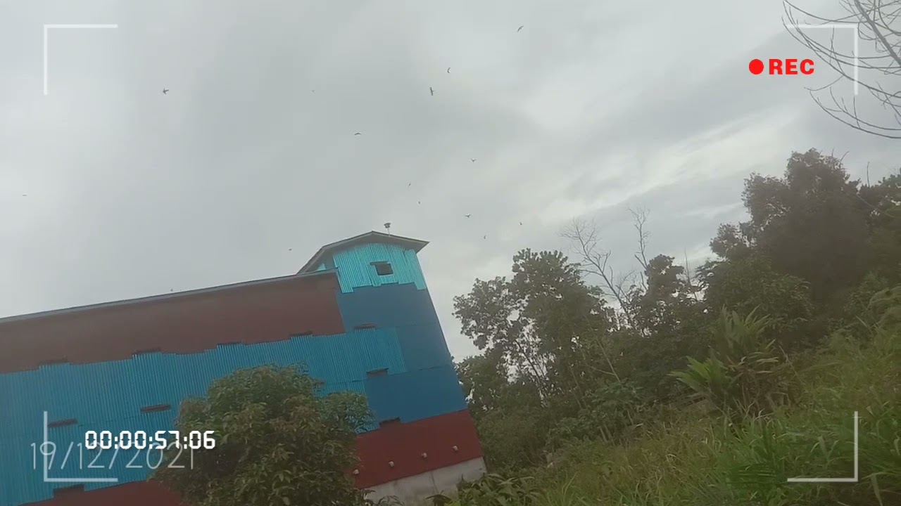 BUKTI NYATA sp triple queen dan tarik senja revisi