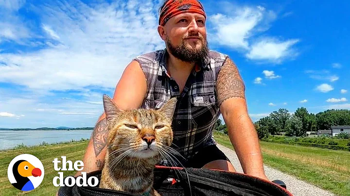 Guy Finds A Stray Kitten, Bikes Around The World W...