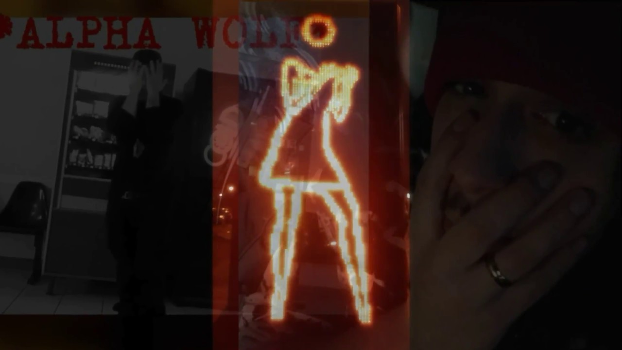 Obejrzyj ALPHA WOLF 🐺 - "Daylight" w YouTube Obejrzyj ALPHA WOLF 🐺 - "Daylight" w YouTube