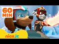 PAW Patrol Mighty Pups Use Their Super Powers! w/ Liberty &amp; Marshall | 1 Hour Compilation | Nick Jr.