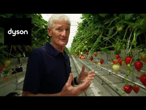 Behind the scenes of Dyson Farming with James Dyson