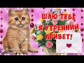 🌺 Шлю Тебе я Утренний Привет! 🌺Улыбнись, тебе идет твоя Улыбка! 🌺 Позитивчик для друзей!