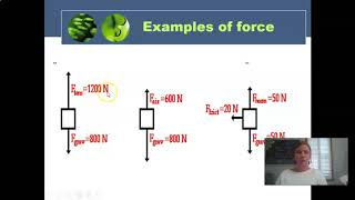 Motion and Force HS PS2-1 - HS PS2-3