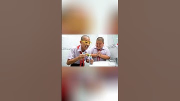 Hùng trọc bỏ mù tạt vào kem đánh răng của capybara #trending #funny #capybara