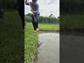 Big fish 🐟 #viral #fishing
