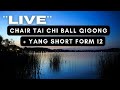 Live Chair Tai Chi Ball Qigong + Yang Short Form 12 | Gentle Movement for Balance &amp; Calm #live