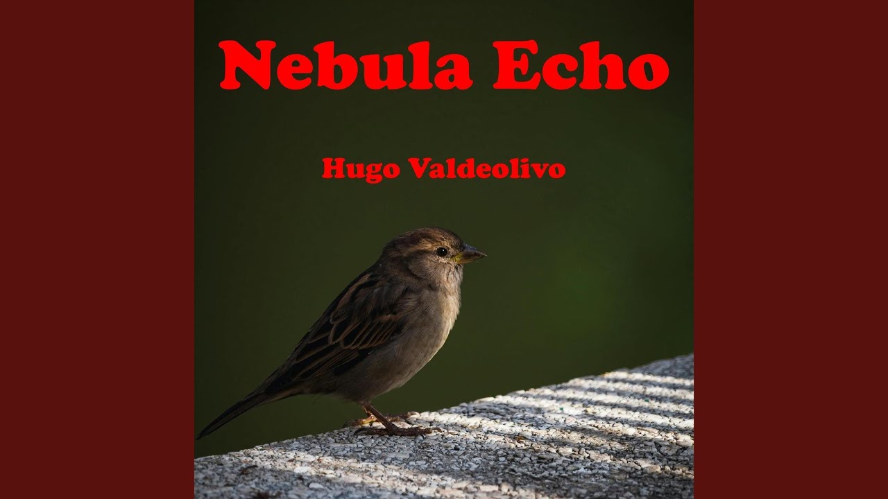Nebula Echo