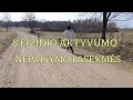 8 Fizinio AKTYVUMO NEPAISYMO pasekmės