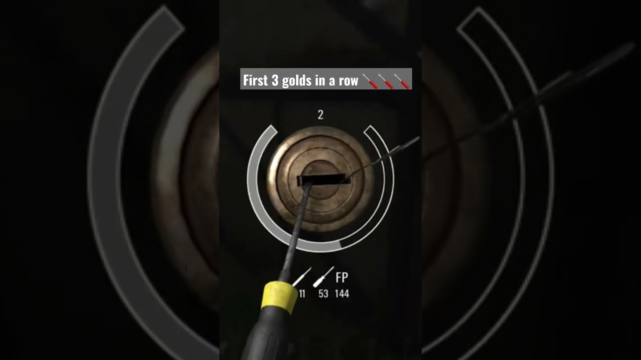 I lockpicked 3 advanced locks in a row - my first time 