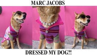 Marc Jacobs Is Dressing My Rescue Dog?! 🐶✨ | Maxbone x Marc Jacobs Event