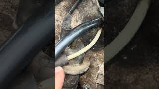 Fuel Pressure Regulator Grand Am! ⛽️ 💨  2002 Pontiac Grand Am Fuel Pump 0001