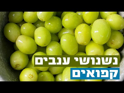 וִידֵאוֹ: איך אוכלים ענבים עם גרעינים?