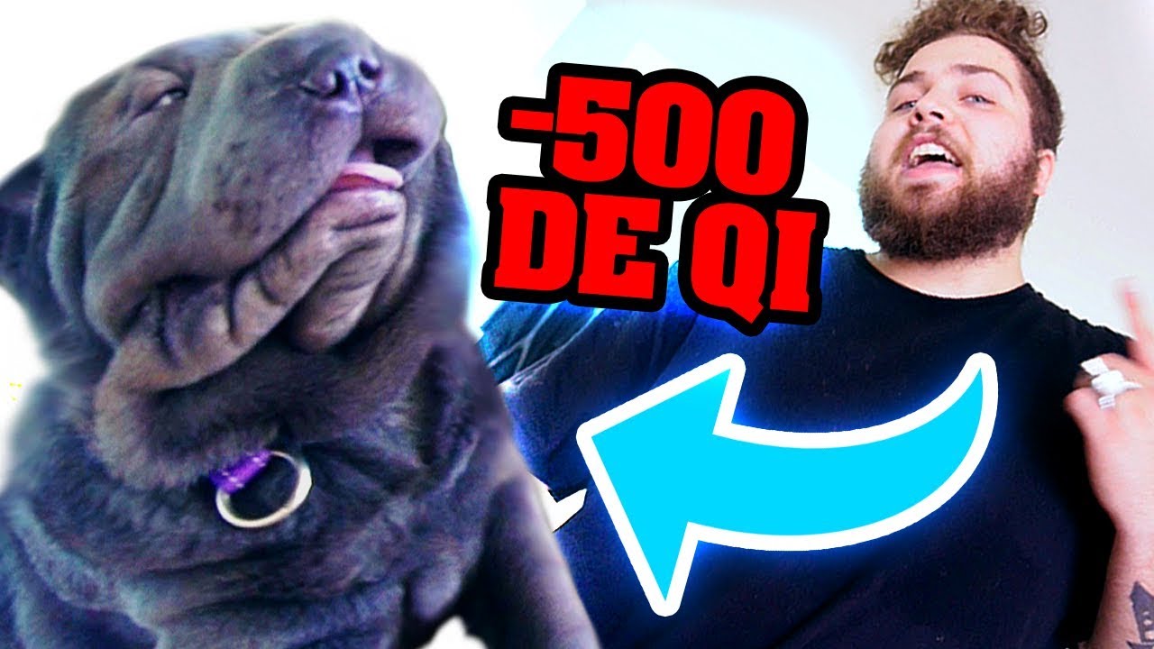 Cao do wuant Clearance