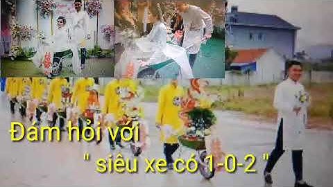 Đám hỏi có 1-0-2 tại Việt Nam  |  Dùng " siêu xe... rùa " chở tráp đến nhà gái ăn hỏi !