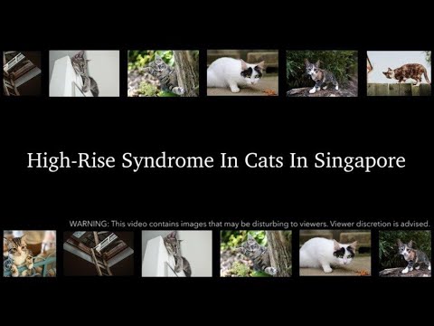 Video: High-Rise Syndrome