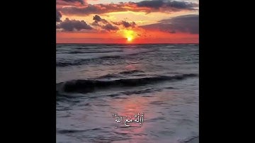 قل الحمد لله - تلاوة خاشعة من سورة النمل - القارئ معاذ العيد ❤️