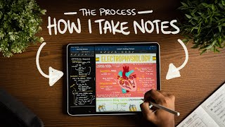 How I Take Notes with My iPad Pro in Lectures (Notability & GoodNotes)   Free Template