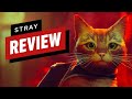 Review: Stray é uma perspectiva única de um cenário familiar
