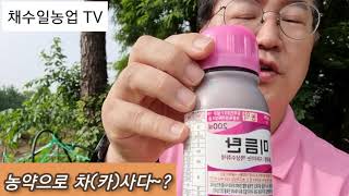 농약살균제 선택요령~~~            예방 이냐? 치료냐? ~~                 (차)카사다? ? 듣기만해도..?