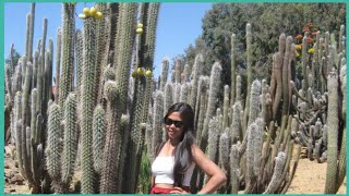 CACTUS COUNTRY|ONE OF THE FAMOUS TOURIST SPOTS IN VICTORIA, AUSTRALIA. screenshot 5