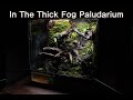 '짙은 안개 속' 팔루다리움 | 'In The Thick Fog' Paludarium | Making A Paludaium 600*450*600 | Making A Jungle