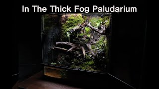 '짙은 안개 속' 팔루다리움 | 'In The Thick Fog' Paludarium | Making A Paludaium 600*450*600 | Making A Jungle