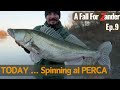 Today  spinning ai grossi perca  a fall fishing for zander ep9