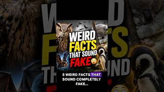 5 weird facts that sound fake 🤯Wait for #5 #weirdfacts #facts #didyouknow #animals #factsaboutthewor