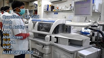 Scientific Pathology - Lab Video