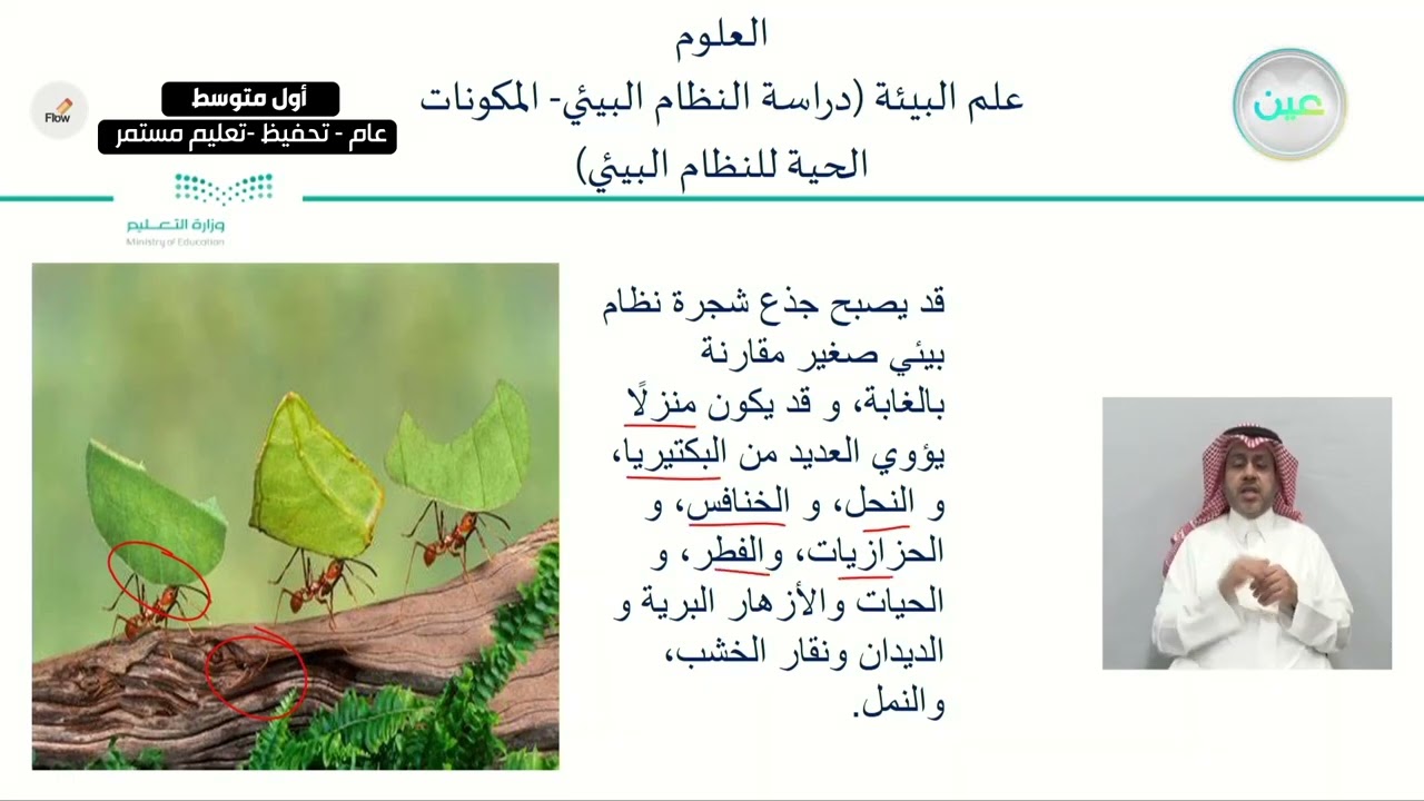 علم البيئة ( دراسة النظام البيئي- المكونات الحية للنظام البيئي) - العلوم - أول متوسط