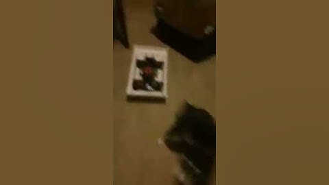 Star Wars 1:1 Mouse Droid Radio Control test