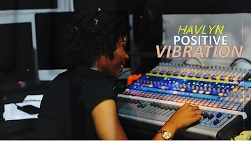 Positive Vibration- Havlyn (Official Audio)