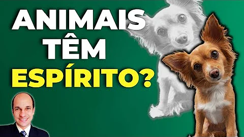 O que a Palavra de Deus fala sobre amar aos animais?