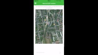 Team Reporting In Fimpl