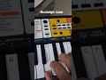 Nostalgic tune on piano #piano #beginners #kahonapyarhai #jaadutheme #hritikroshan #2000s