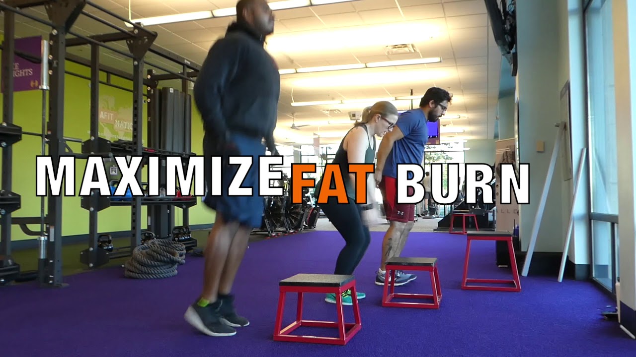 anytime fitness rates anytime fitness rates