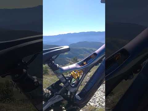 Forestal Hydra! E-Bike